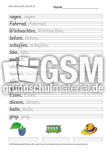DSS_2S_FW_100_NR_30.pdf